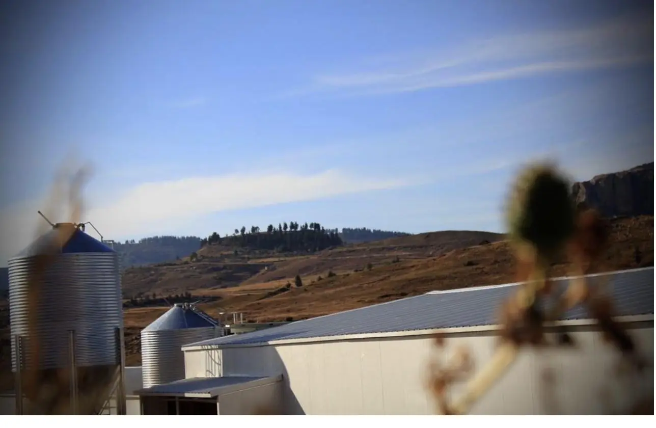 Feed silos beside a Data Matrix project facility below the hills outside Maseru, Lesotho